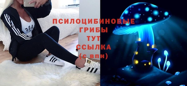 МДПВ Балахна