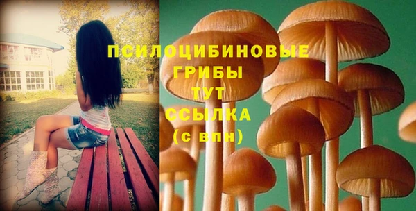 хмурый Балабаново
