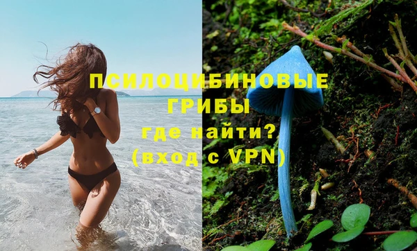 а пвп мука Баксан