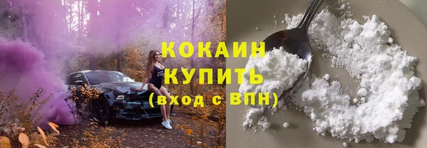 кокс Инсар